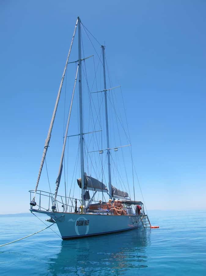 Cairns: Green Island & Great Barrier Reef Sailing Tour - Who should book this Cairns sailing day?
