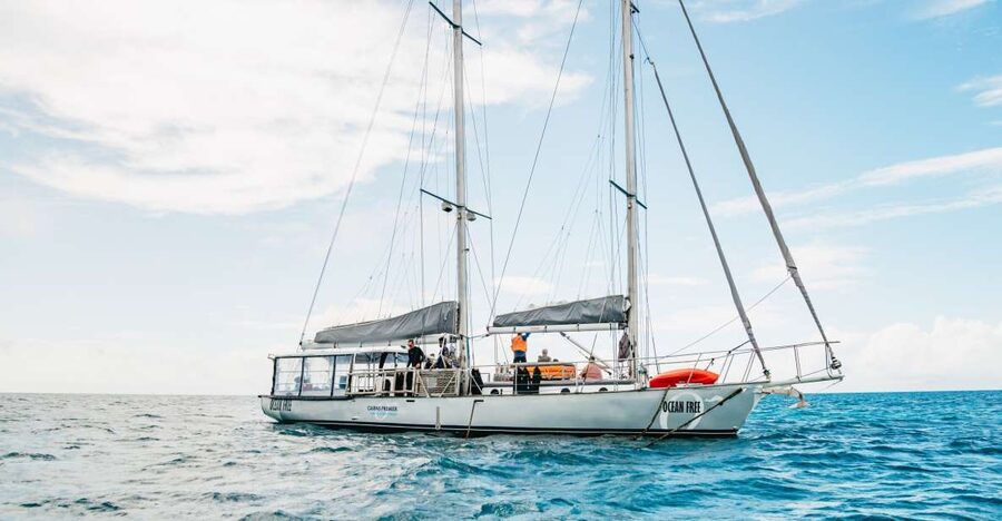 Cairns: Green Island & Great Barrier Reef Sailing Tour - Lunch with salmon, prawns, and plenty of choice