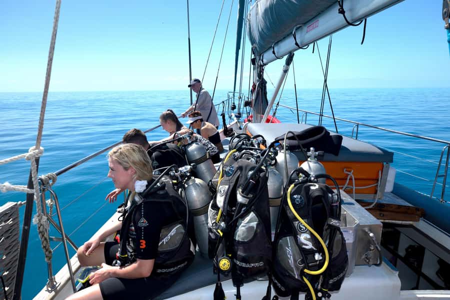 Cairns: Green Island & Great Barrier Reef Sailing Tour - What the $183 price really buys you
