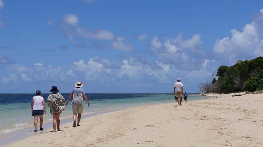 Cairns: Green Island & Great Barrier Reef Sailing Tour - The crew is the heart of the experience