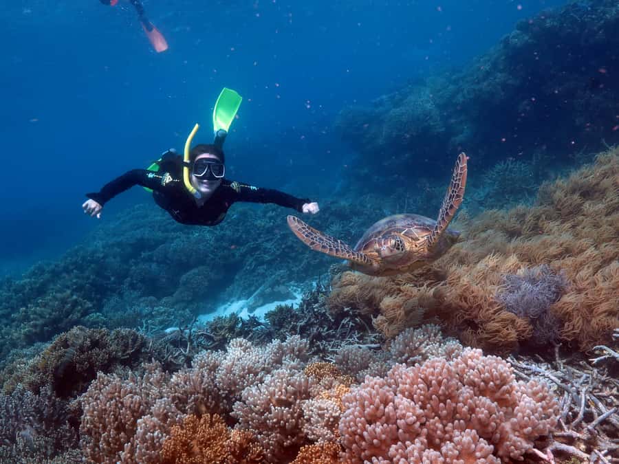 Cairns: Green Island + Moore Reef Activity Platform Combo - Buffet lunch with a view
