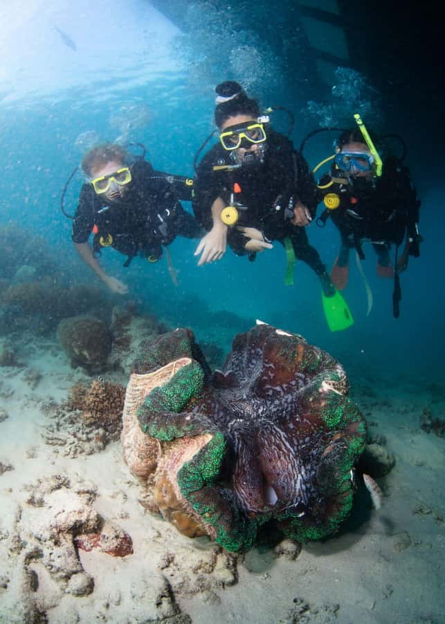 Cairns: Green Island + Moore Reef Activity Platform Combo - Who will get the most from this tour