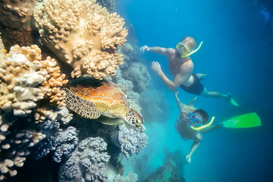 Cairns: Green Island Snorkelling or Glass Bottom Boat - Green Island at a glance