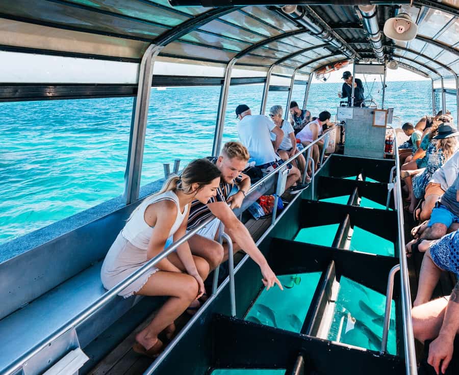Cairns: Green Island Snorkelling or Glass Bottom Boat - Snorkelling from the beach and jetty