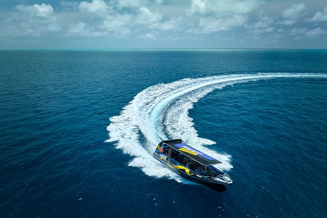 Cairns Half Day Tour a Great Barrier Reef Snorkeling Experience - Key Points Before You Book