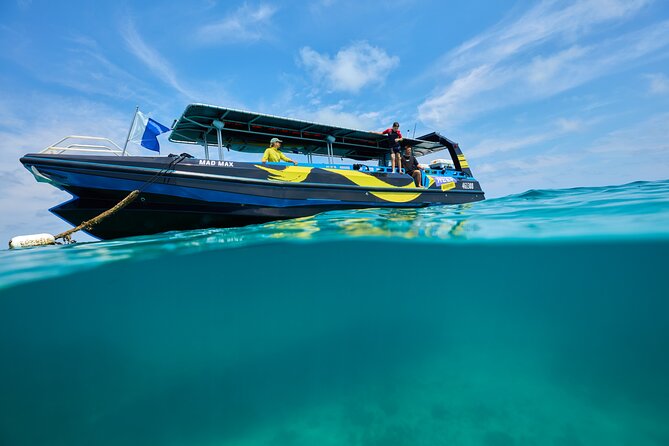 Cairns Half Day Tour a Great Barrier Reef Snorkeling Experience - Is 1.5 Hours in the Water Enough?