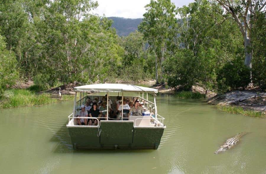 Cairns: Hartley's Crocodile Adventures Visit with Transfer - The crocodile attack show: the best use of your time