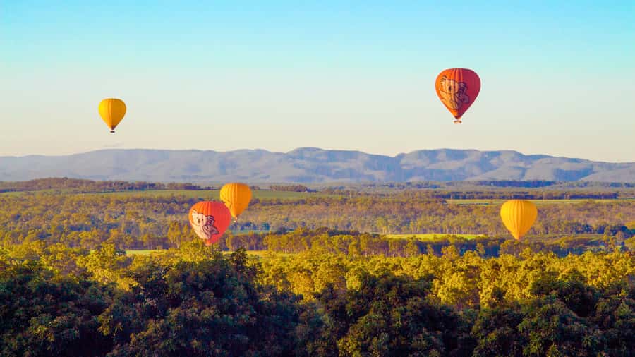 Cairns: Hot Air Balloon Flight with Transfers - Landing is only half the fun