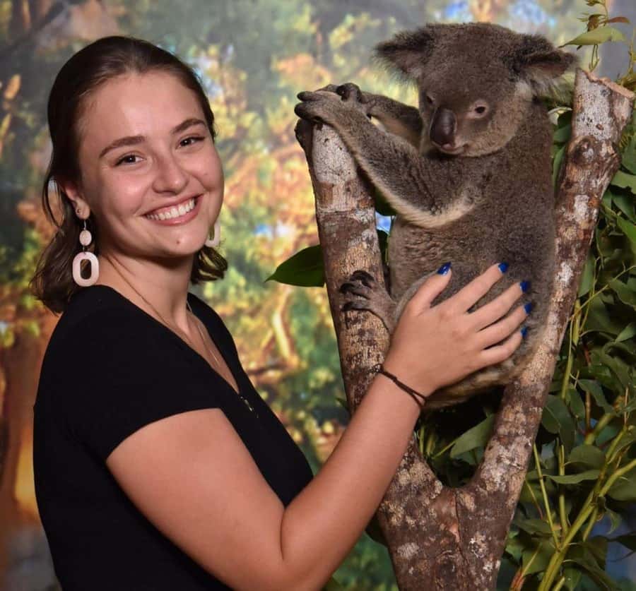 Cairns Koalas and Creatures Entry Ticket with Koala Photo - Key points to know before you go