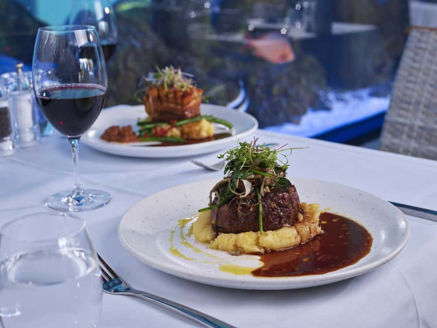Cairns: Night at the Aquarium Guided Tour & 2 Course Dinner - Key points to know before you book