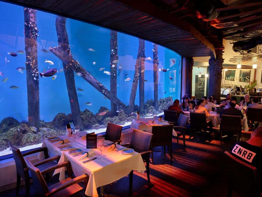 Cairns: Night at the Aquarium Guided Tour & 2 Course Dinner - What happens when the lights go down