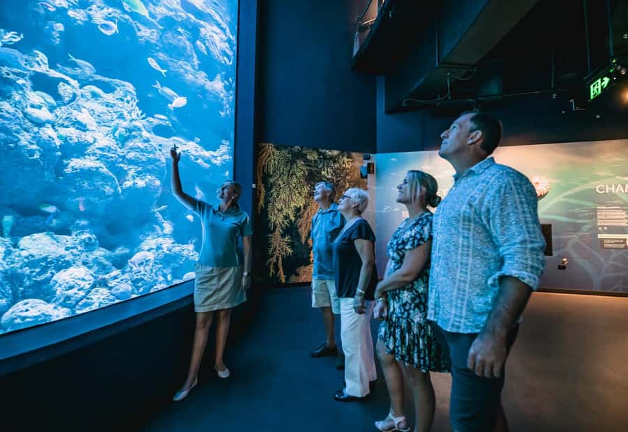 Cairns: Night at the Aquarium Guided Tour & 2 Course Dinner - Ten ecosystems, from rivers to the Coral Sea