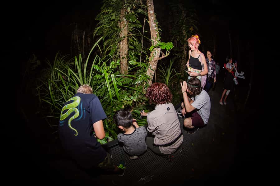 Cairns: Night Walk in Cairns Botanic Gardens - Who should book this experience?