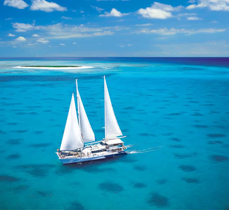 Cairns: Ocean Spirit Great Barrier Reef Full Day Tour - Key points to know before you book