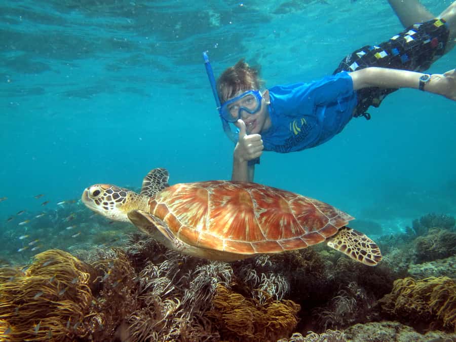 Cairns: Ocean Spirit Great Barrier Reef Full Day Tour - Snorkeling from the beach in shallow water