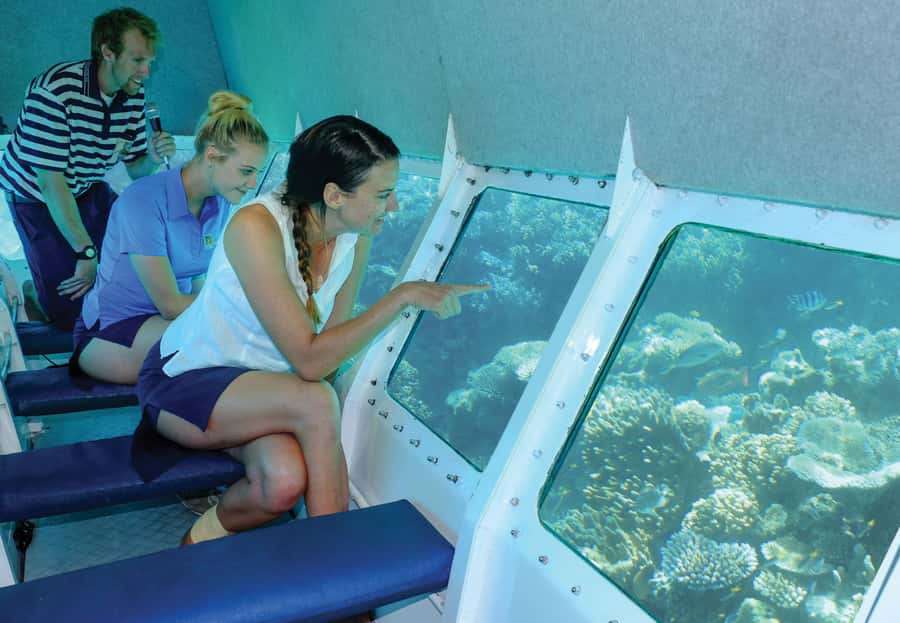 Cairns: Ocean Spirit Great Barrier Reef Full Day Tour - Marine biology, fish feeding, and reef context