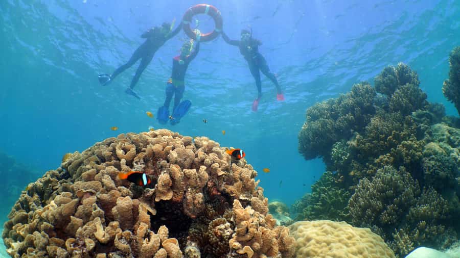 Cairns: Ocean Spirit Great Barrier Reef Full Day Tour - What $195 gets you, and who gets good value