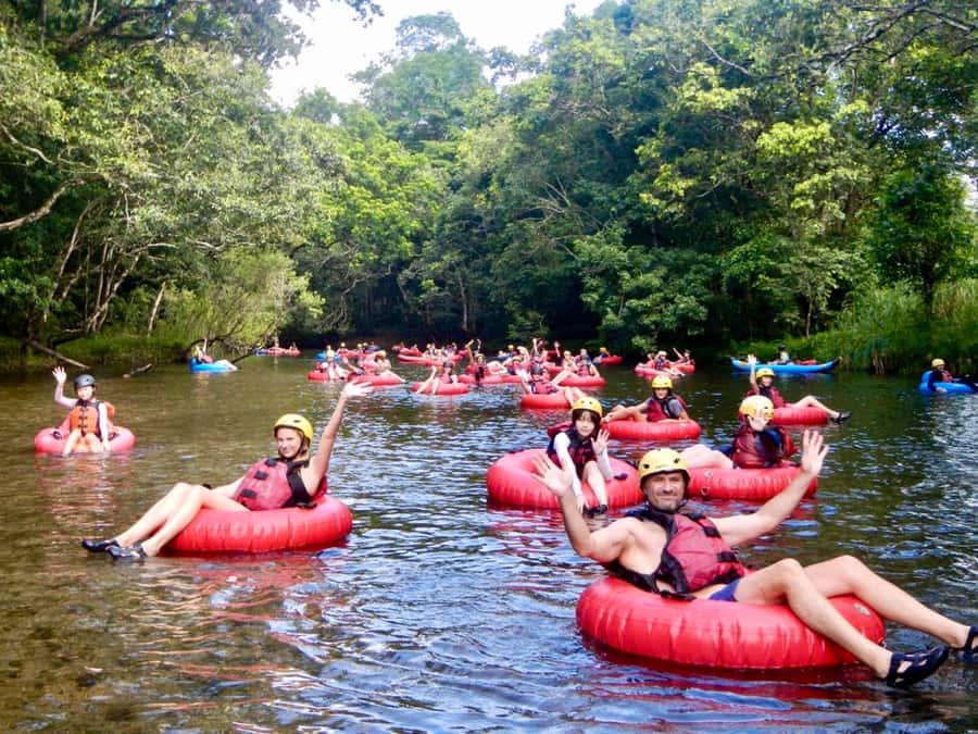 Cairns or Northern Beaches: Rainforest River Tubing - Key points at a glance