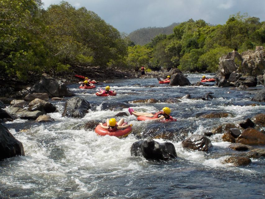 Cairns or Northern Beaches: Rainforest River Tubing - Small rapids, not white-water thrills