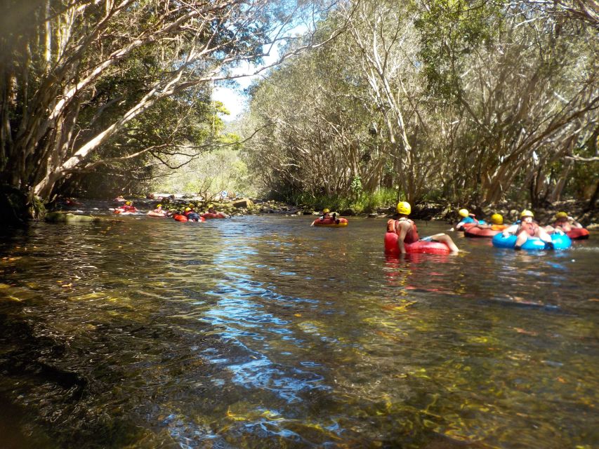 Cairns or Northern Beaches: Rainforest River Tubing - Family suitability and physical demands