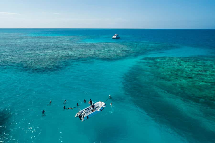 Cairns: Outer and Coral Cay Snorkel and Dive Cruise - From Marlin Marina to open water