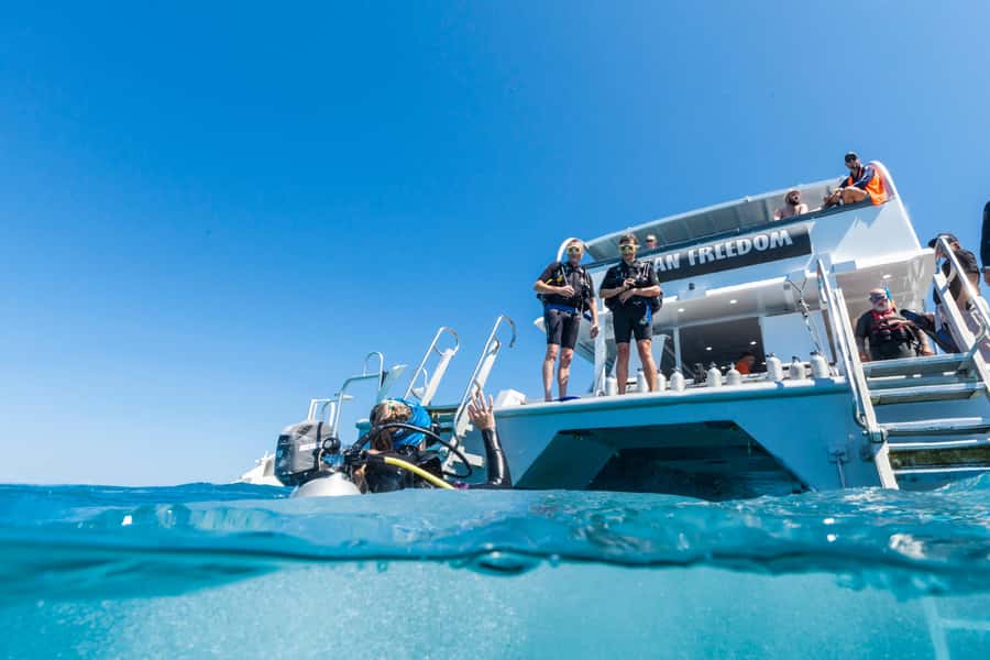 Cairns: Outer and Coral Cay Snorkel and Dive Cruise - What the crew adds to the experience