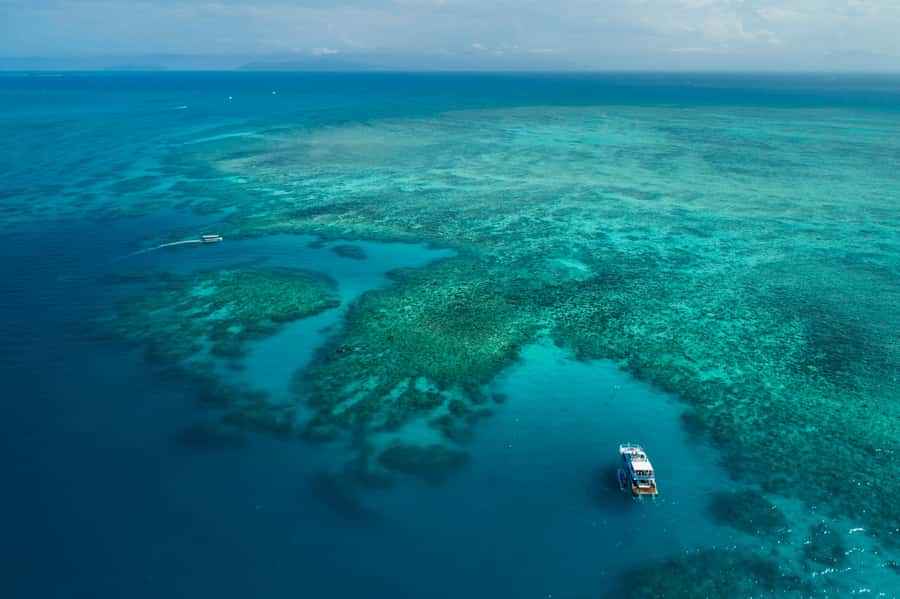 Cairns: Outer and Coral Cay Snorkel and Dive Cruise - Price, group size, and what you actually receive