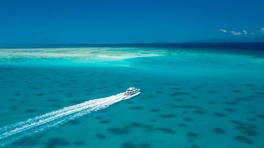 Cairns: Outer and Coral Cay Snorkel and Dive Cruise - Who will enjoy this cruise most