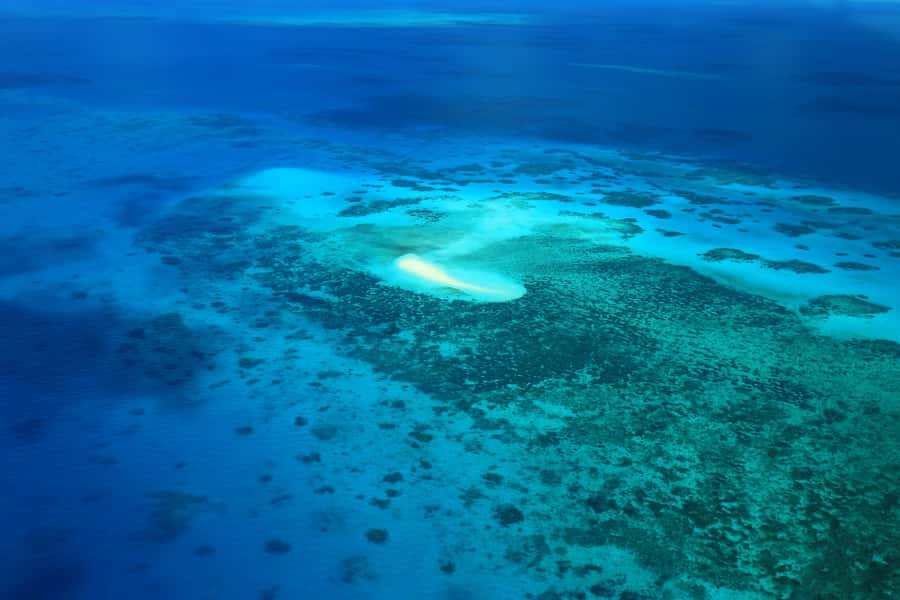 Cairns: Outer Edges of The Great Barrier Reef Scenic Flight - Is 40 minutes long enough?