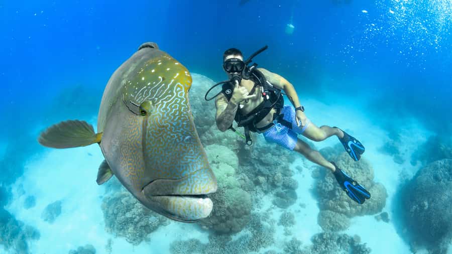 Cairns: Outer Great Barrier Reef Full-Day Tour with Lunch - Buffet lunch with steak, prawns, and salads