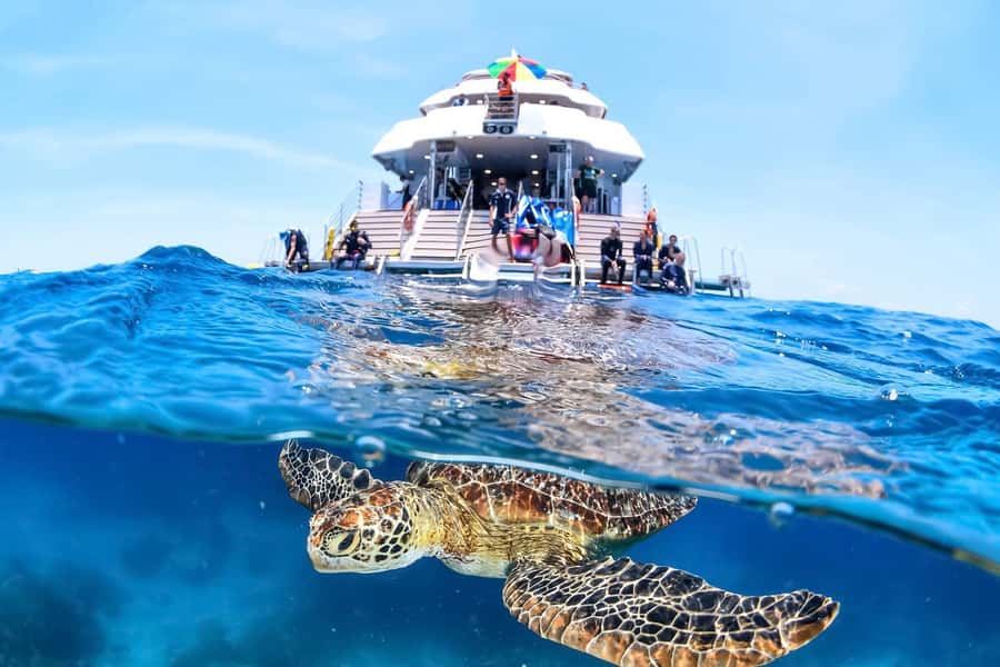 Cairns: Outer Great Barrier Reef Full-Day Tour with Lunch - Checking in at Cairns Reef Fleet Terminal
