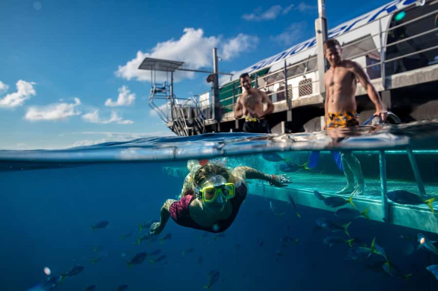 Cairns: Outer Great Barrier Reef Pontoon with Activities - Quick Take: What Makes This Reef Trip Work