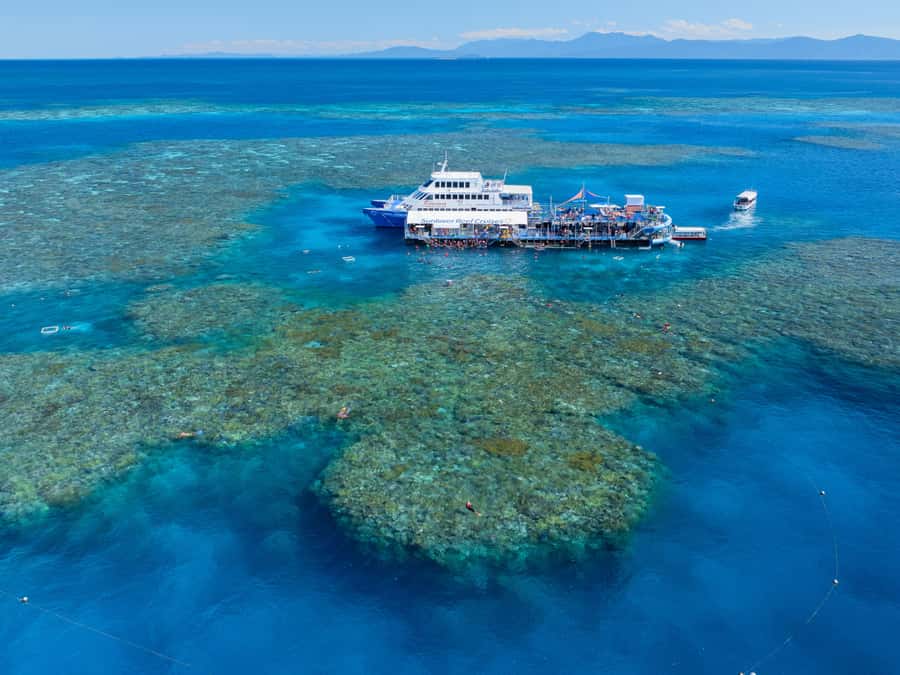Cairns: Outer Great Barrier Reef Pontoon with Activities - Snorkeling With a Life Jacket and Rest Stations