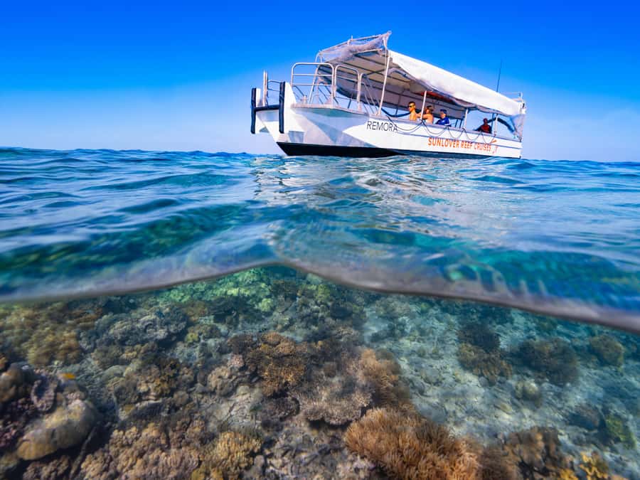 Cairns: Outer Great Barrier Reef Pontoon with Activities - Is the $208 Price Good Value?