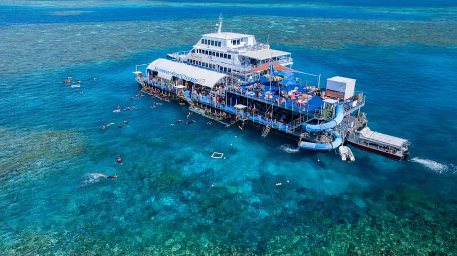 Cairns: Outer Great Barrier Reef Pontoon with Activities - Four Hours at Moore Reef Pontoon