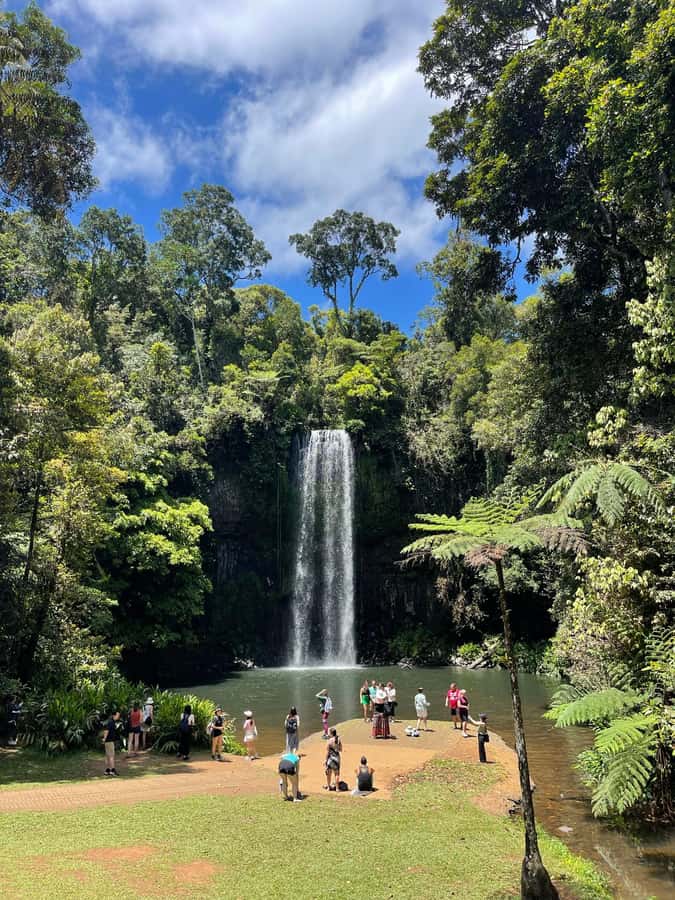 Cairns: Paronella, Lake Barrine & Millaa Millaa Falls Tour - What the guides add to the day