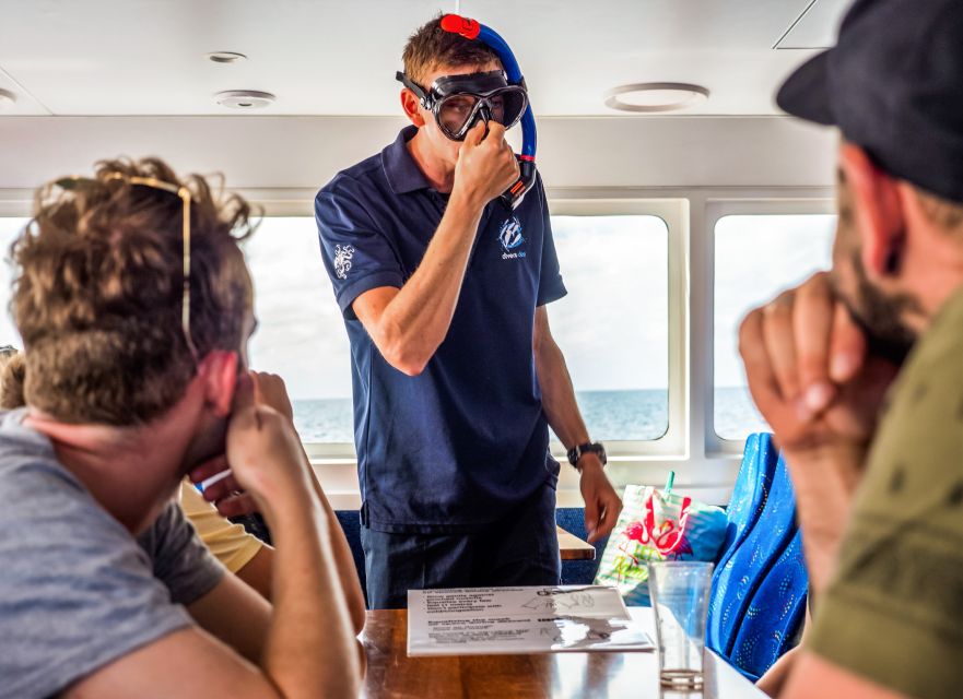 Cairns: Premium Snorkelling and Diving Reef Day Trip - Who should book this reef day?
