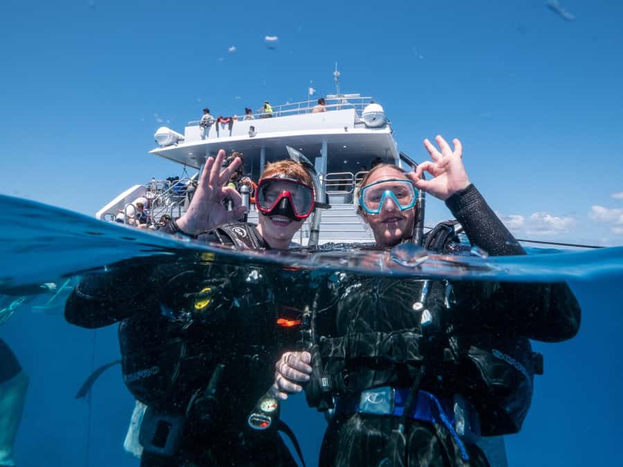 Cairns: Premium Snorkelling and Diving Reef Day Trip - What makes AquaQuest a good fit for snorkellers