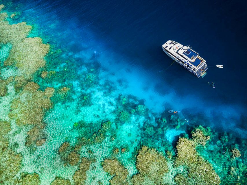 Cairns: Premium Snorkelling and Diving Reef Day Trip - Scuba options and important restrictions