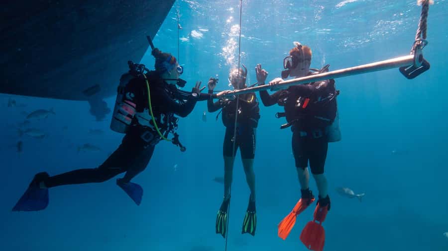 Cairns: Premium Snorkelling and Diving Reef Day Trip - The return to Cairns