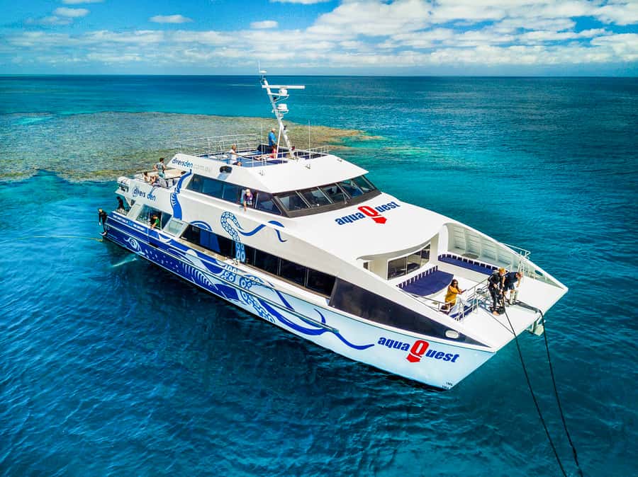 Cairns: Premium Snorkelling and Diving Reef Day Trip - First reef stop: the main morning session