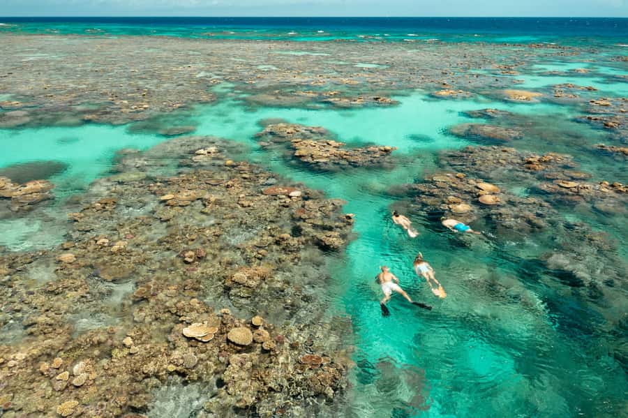 Cairns: Silverswift 3 Great Barrier Reef Sites in 1 Day - Second reef stop: lunch and another chance to snorkel