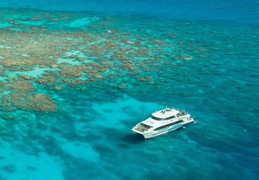 Cairns: Silverswift 3 Great Barrier Reef Sites in 1 Day - Third stop: the longest water session