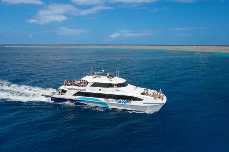 Cairns: Silverswift 3 Great Barrier Reef Sites in 1 Day - Is $209 good value?