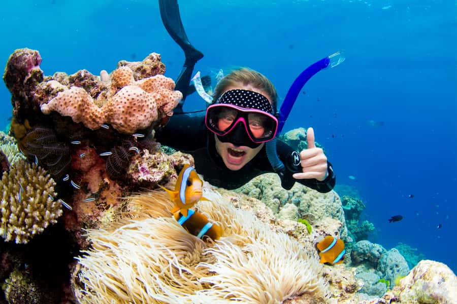 Cairns: Snorkelling and Diving Reef Day Trip - Leaving Cairns Marina for the outer reef
