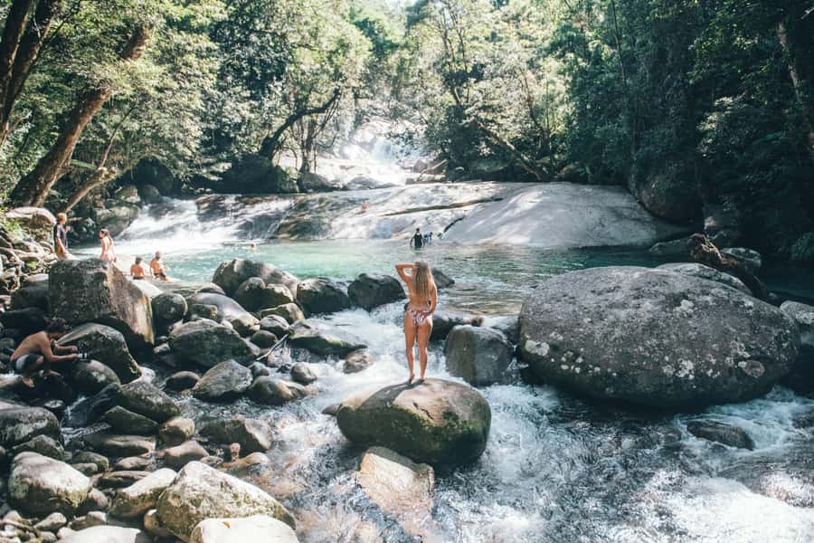 Cairns: Waterfall and Daintree Rainforest Tour - 2 Day Tours - Two full days from Cairns, with two very different moods