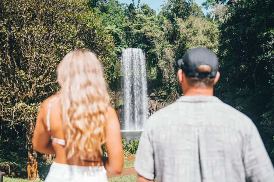 Cairns: Waterfall and Daintree Rainforest Tour - 2 Day Tours - Mossman Gorge begins with a Kuku Yalanji welcome