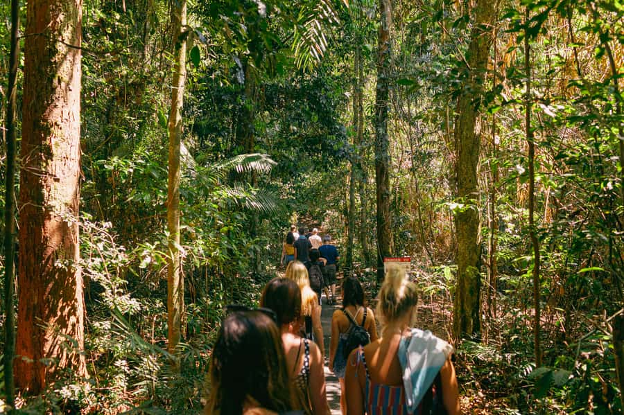 Cairns: Waterfall Tour with Lunch - Who will enjoy this day most