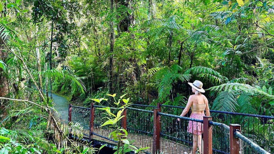 Cairns: Waterfall Tour with Lunch - Lake Eacham: a calm first swim
