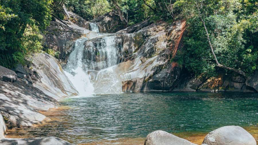 Cairns: Waterfall Tour with Lunch - Millaa Millaa Falls, the classic postcard stop